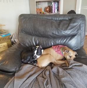 Meet your Posher, Rick